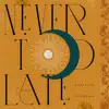 Danielle Nicole Johnson - Never Too Late - Single